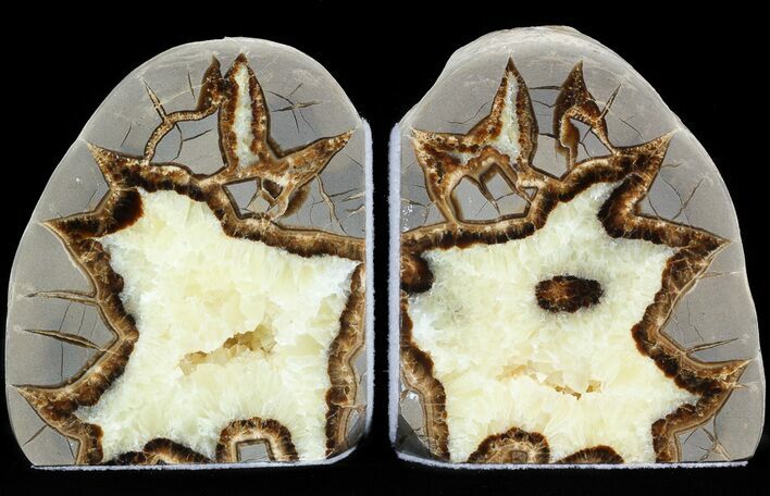 Polished Septarian Bookends #45926